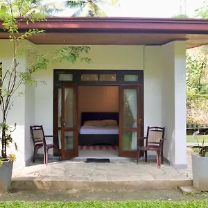 The Bliss Kandy