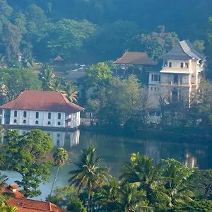 Mcleod-inn Homestay